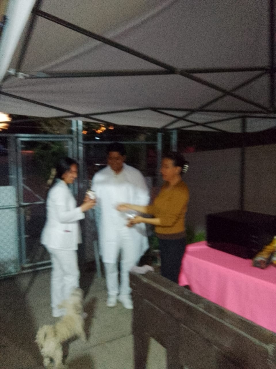 Galería 2